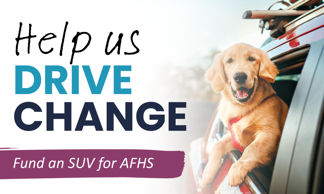 Help AFHS Drive Change